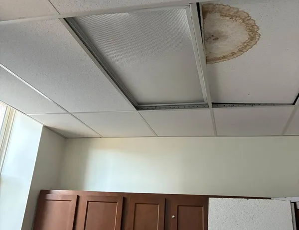 Drop Ceiling Repair and LED Light Upgrade in Pinellas Park, photo 1 of 4
