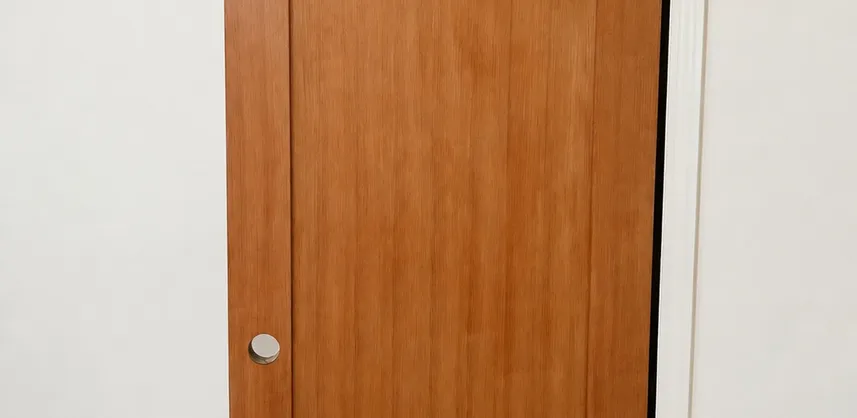 Finished result: Interior Door Replacement in Treasure Island